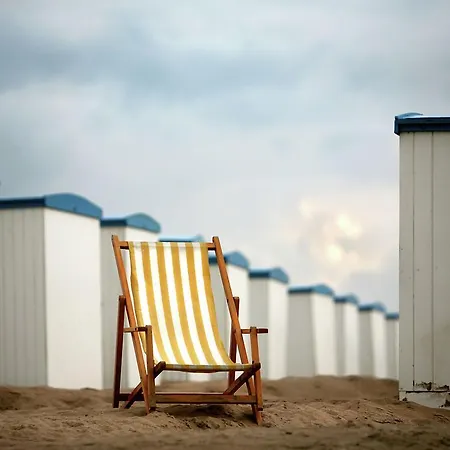Holiday Huisje Ter Duin Holiday home